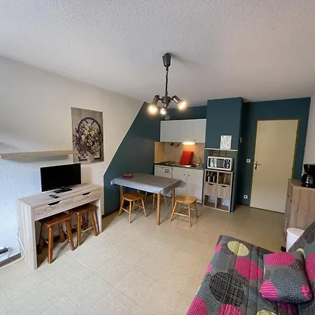 Expose Plein Sud Face Aux Pistes, Ideal Pour 4 Pers., Animaux Bienvenus Apartment *