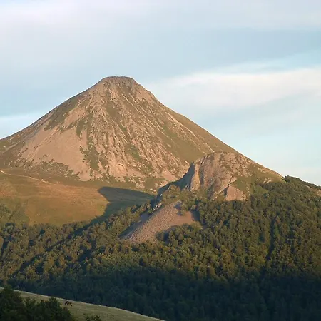 아파트 Expose Plein Sud Face Aux Pistes, Ideal Pour 4 Pers., Animaux Bienvenus - Fr-1-787-62 Laveissière